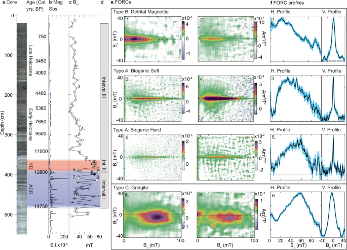 Fig. 3: Core image with magnetic records.