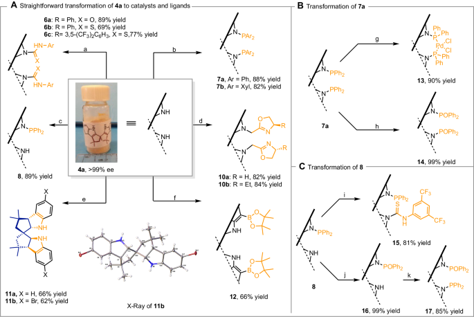 Fig. 4: Elaboration of SPINDOLE to generate a diverse set of chiral ligand and organocatalyst structures.