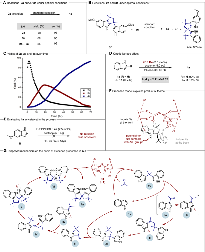 Fig. 6: Mechanism studies.