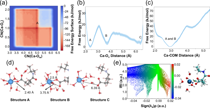 Fig. 5: Molecular interaction mechanisms between the carboxyl group from hydrogel and the Ca ion released by cement particles.