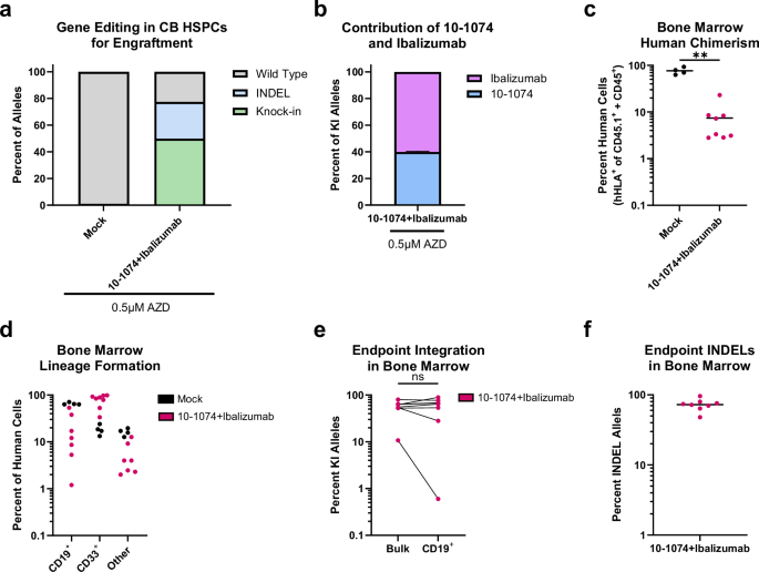 Fig. 4: HSPCs with high frequency knock-in maintain edited alleles following engraftment in vivo.