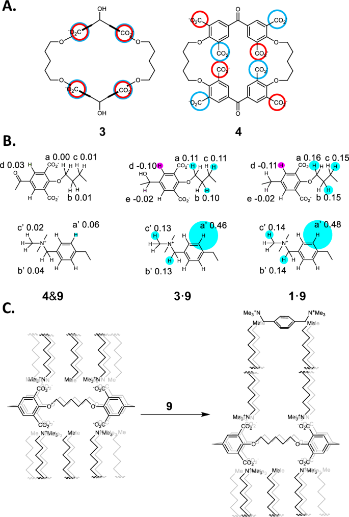 Fig. 3: Hydrocarbon chain arrangements within the self-assembly, complexation-induced chemical shift differences and mode of membrane disruption.
