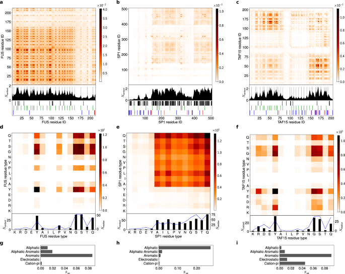 Fig. 4: Intermolecular contact maps for homotypic interactions in single-component droplets.