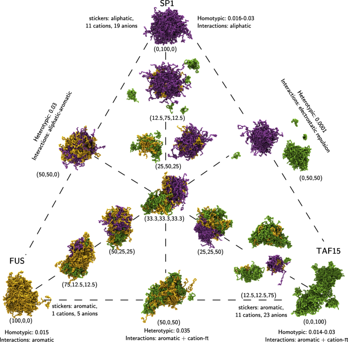 Fig. 6: Snapshots of a selection of the ternary droplets.