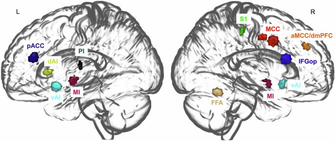 Fig. 3: Regions of Interest (ROIs) based on between-group differences in fMRI tasks.