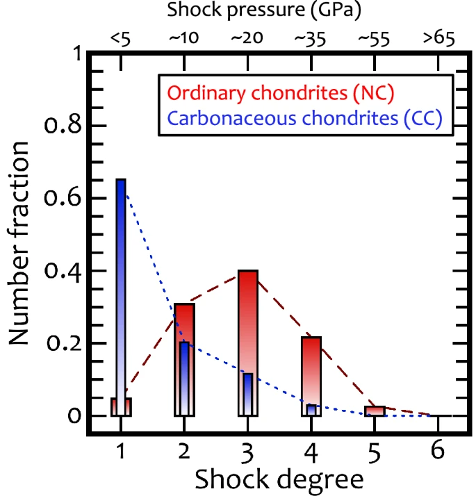 Shock metamorphism distribution in ordinary and carbonaceous chondrites