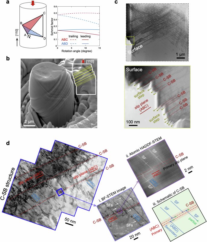Fig. 1: Confined slip band (C-SB) and its microscopic and atomic structures.