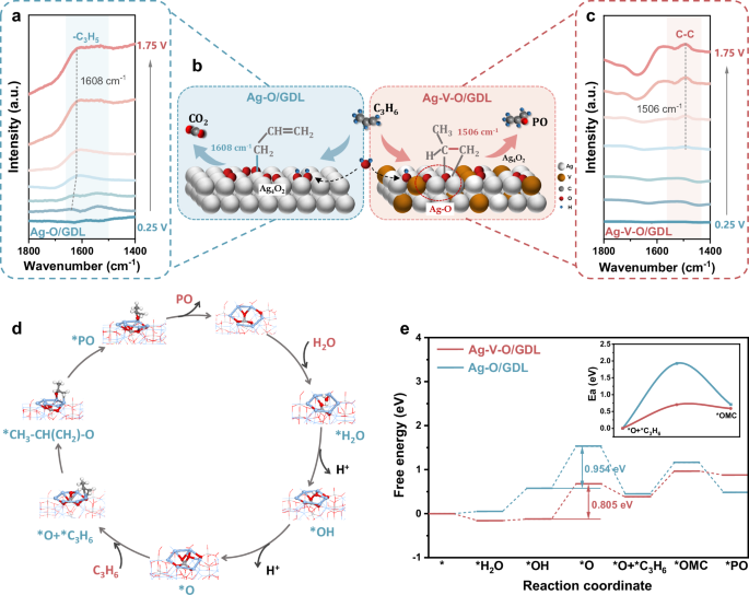 Fig. 4: Analysis of the reaction process of EOPO.
