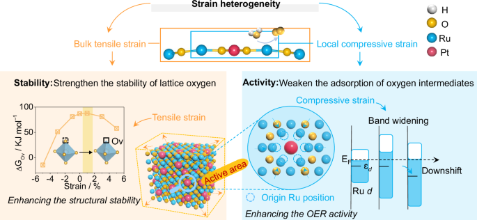 Fig. 1: Schematic diagram of strain heterogeneity and the corresponding theoretical calculations.