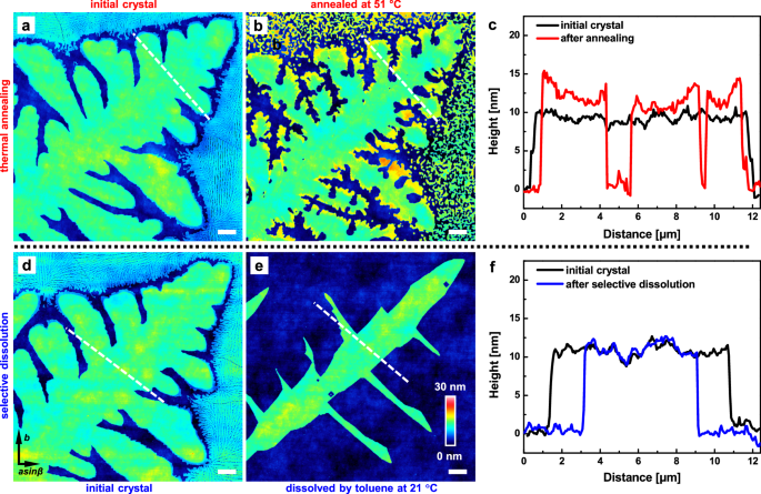 Fig. 1: Comparison of the effect of thermal annealing and selective dissolution on the topography of PEO dendritic crystals.