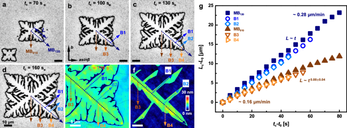 Fig. 3: In situ observations of crystal growth.