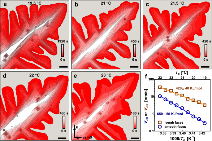 Fig. 4: Changes in morphology of PEO lamellar crystals induced by selective dissolution in toluene at different temperatures (Td).