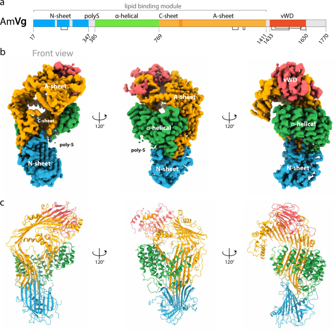 41467_2025_58575_Fig1_HTML.png
