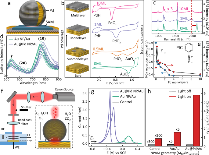 Fig. 1: Optical and electrochemical characterization of atomic Pd-glazed nanoparticles-on-mirror (NPoM).