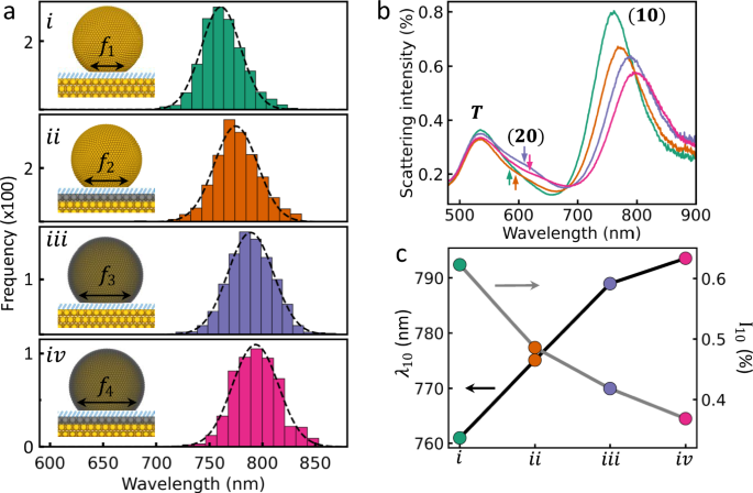 Fig. 2: Dark field characterization of Pd-glazed NPoMs.
