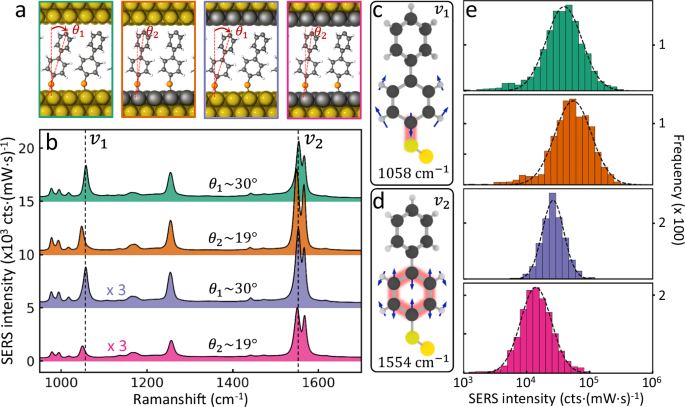 Fig. 3: SERS characterization of individual Pd-glazed NPoMs.