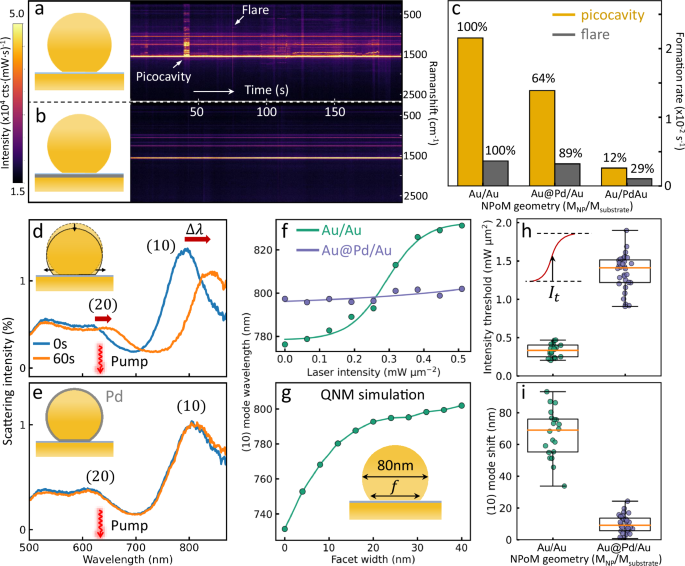 Fig. 5: Surface dynamics and photostability of Pd-glazed NPoMs.
