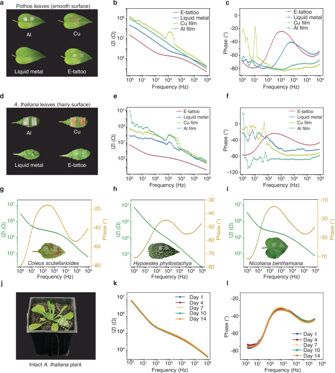 Fig. 4: EIS characterization of the e-tattoo compared to conventional electrodes, versatility and long-term stability tests.