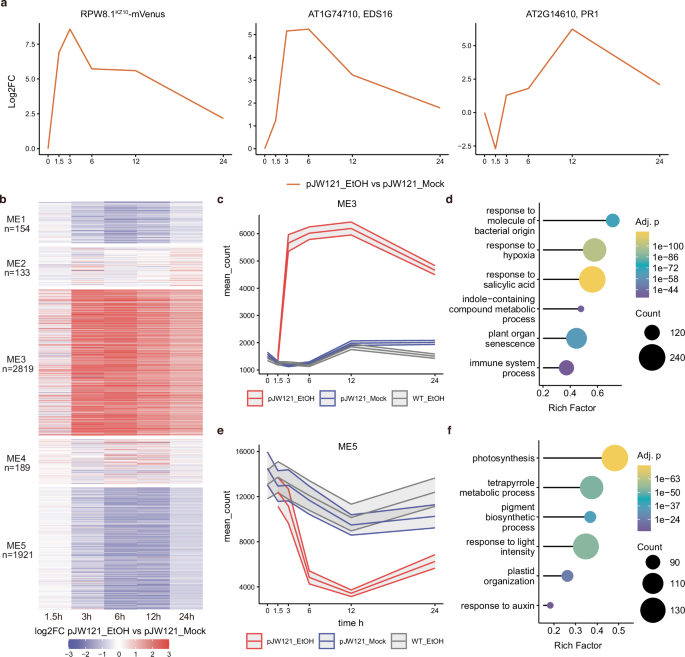 Fig. 6: Time-course RNA-Seq analysis of inducible DM6-DM7 in A. thaliana.