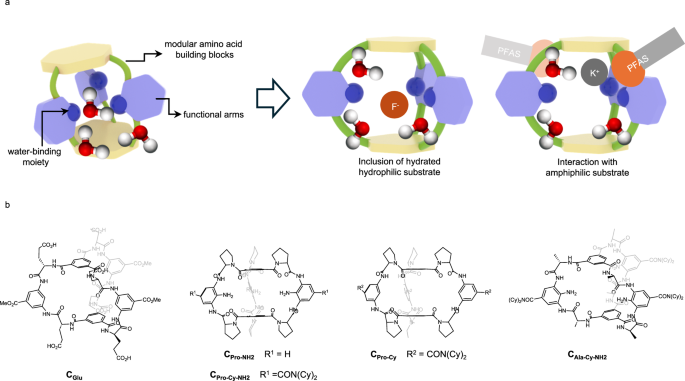 Fig. 1: General design of the guest-adaptive tripodal cages for the recognition of hydrophilic and amphiphlic substrates.