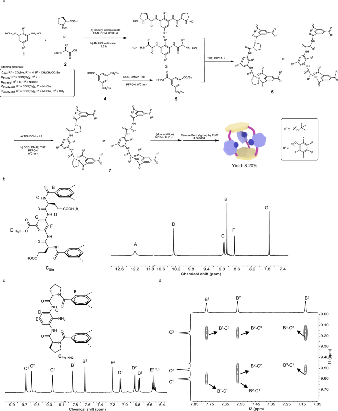 Fig. 2: Cage synthesis and NMR spectra.