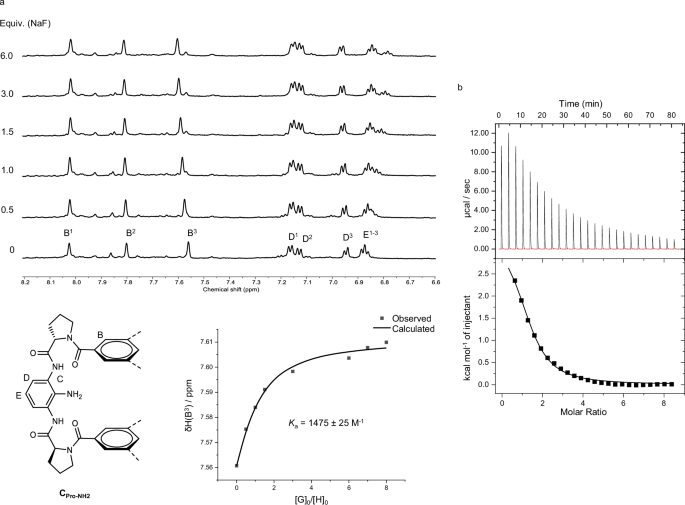 Fig. 4: NMR titration and ITC profile of CPro-NH2 towards fluoride.