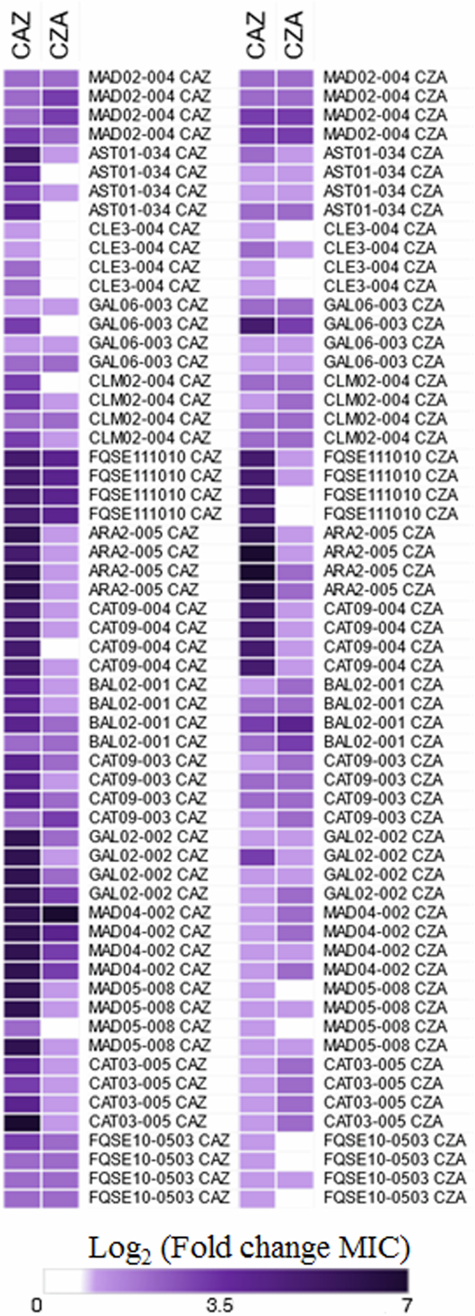 Fig. 1: Ceftazidime and ceftazidime-avibactam resistance of clinical isolates of P. aeruginosa submitted to short-term ALE on ceftazidime or ceftazidime-avibactam.