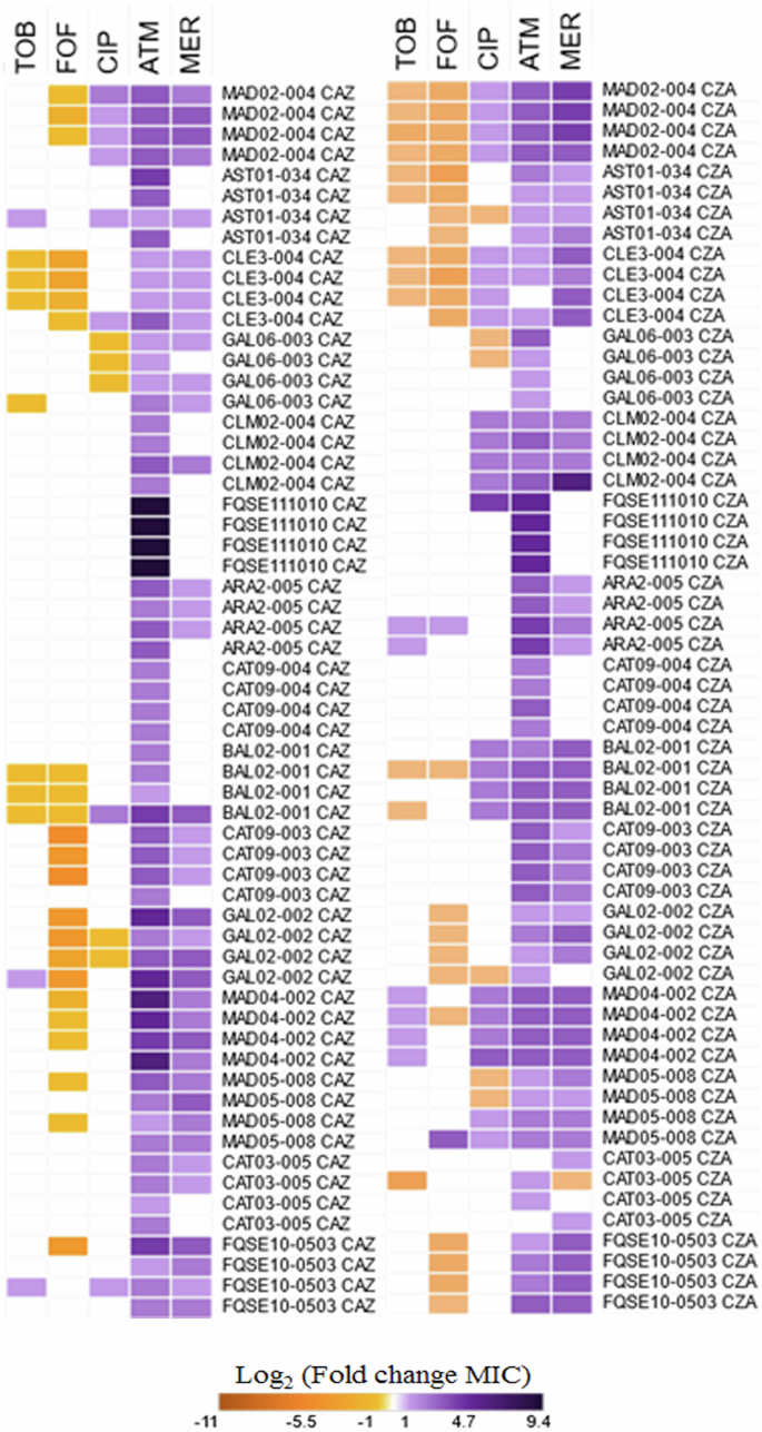Fig. 2: Diagram showing cross-resistance and collateral sensitivity to different antibiotics in clinical isolates of P. aeruginosa submitted to short-term ALE on ceftazidime or ceftazidime-avibactam.