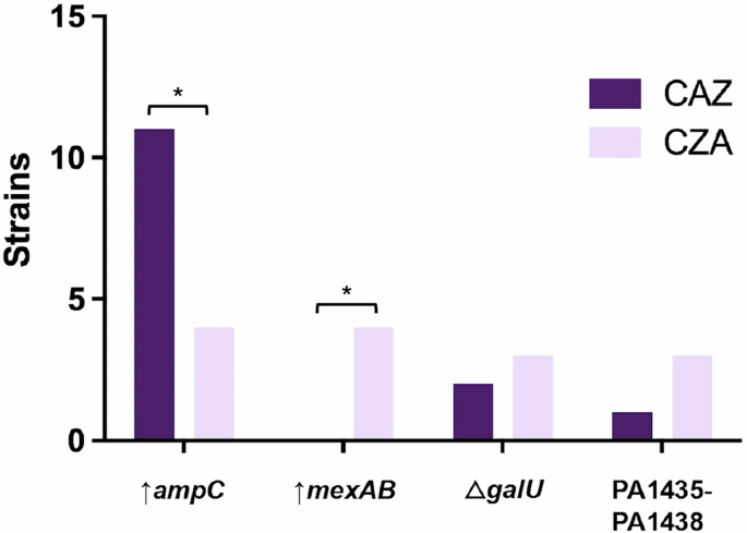 Fig. 4: Main resistance mechanisms evolved during short-term ALE in presence of ceftazidime (CAZ) or ceftazidime-avibactam (CZA).