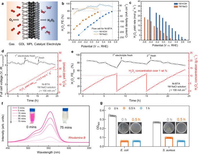 Fig. 4: H2O2 production performance in flow cells.