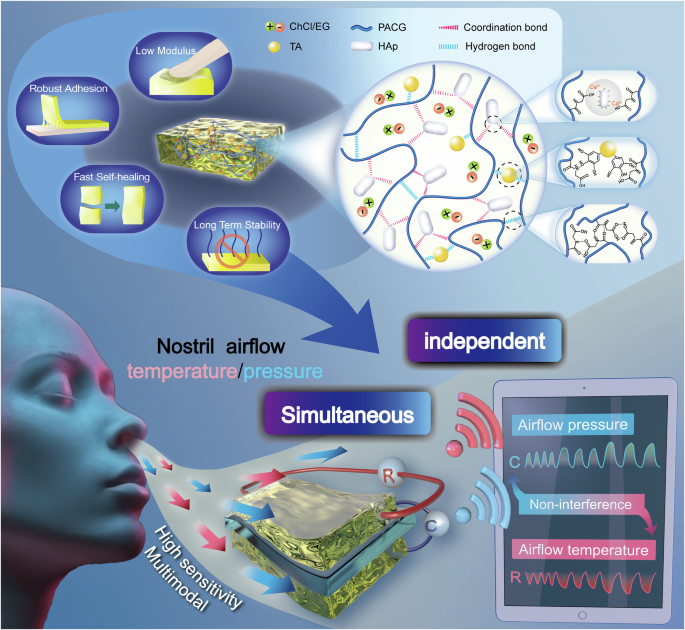 Fig. 1: Schematic illustration of the network structure and the performance for ATH eutectogel, and the multi-modal sensing for nostril airflow with high sensitivity by the ATH-based sensors.