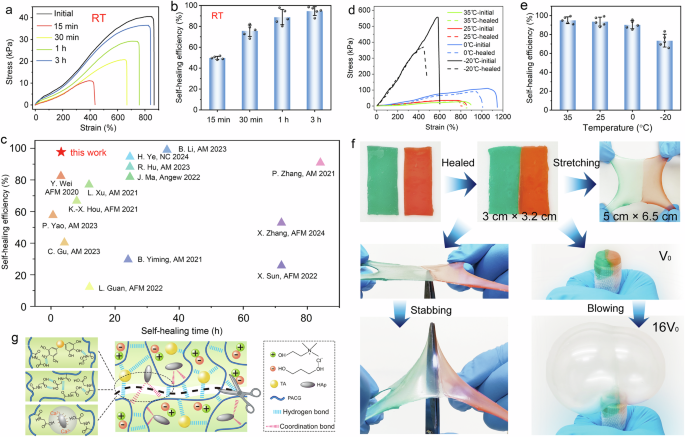 Fig. 4: The self-healing performance of ATH6 eutectogel.