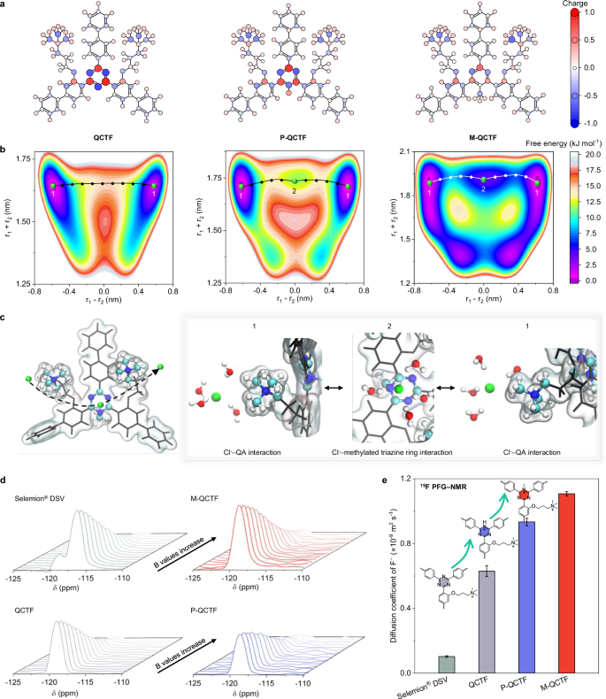 Fig. 3: Low barrier anion transport enabled by ion‒pore wall interactions under confinement.