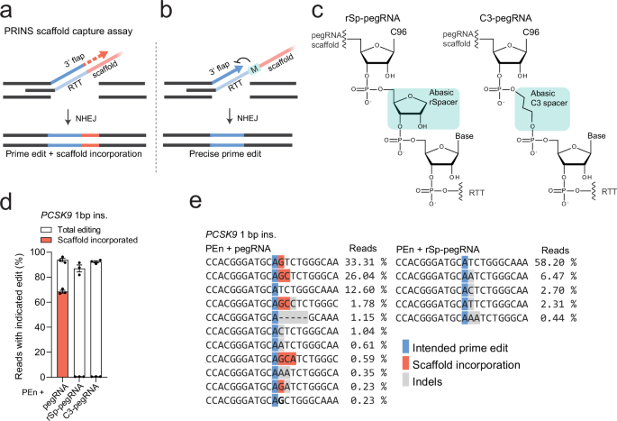 Fig. 1: Abasic sites within synthetic pegRNAs precisely block reverse transcription by M-MLV RT.