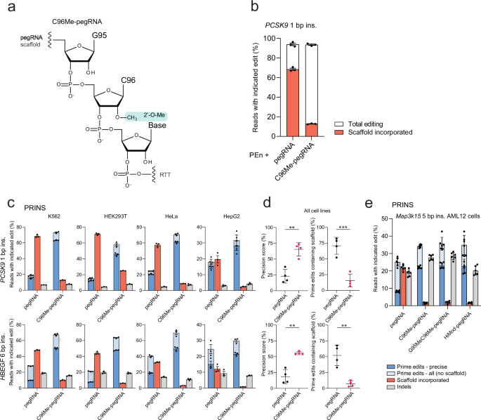 Fig. 4: 2’-O-methylation of C96 in the pegRNA scaffold precisely blocks reverse transcription by M-MLV RT.