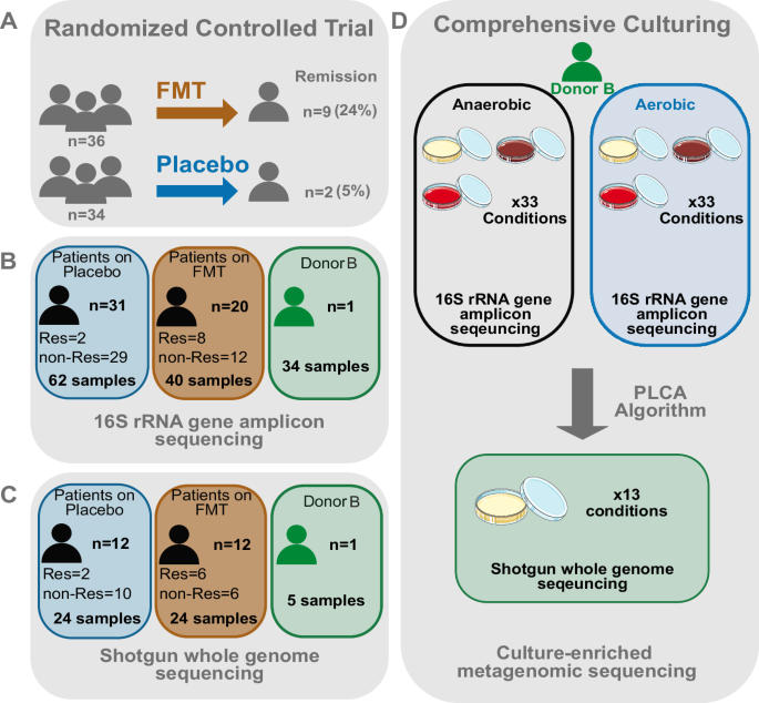 Fig. 1: Diagram of study design.