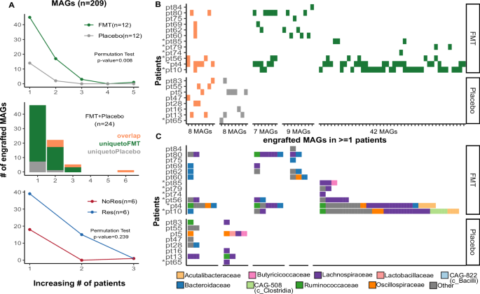 Fig. 3: High resolution genome-resolved metagenomics reveals apparent microbial genome engraftment following FMT.