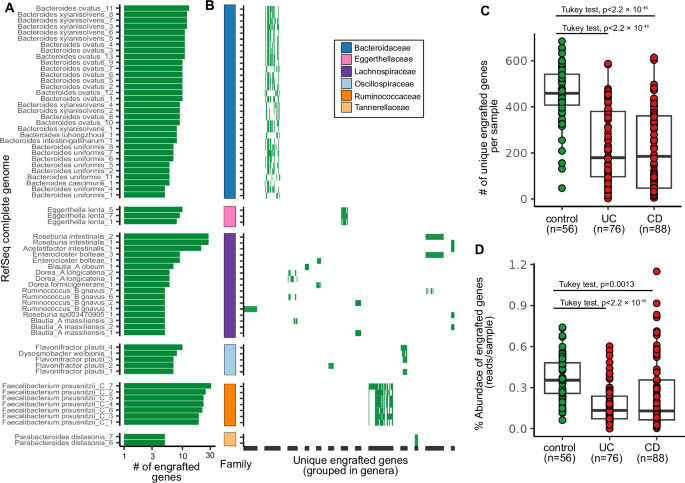 Fig. 5: Commonly engrafted genes in FMT responders are strain-specific and depleted in IBD patients.
