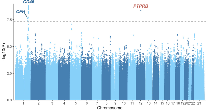 Fig. 1: Genome-wide association study of central serous chorioretinopathy in FinnGen.
