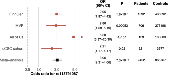 Fig. 2: Associations of the PTPRB missense variant rs113791087 with central serous chorioretinopathy in 4 studies.