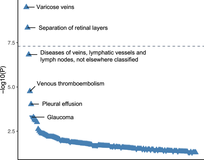 Fig. 4: Phenome-wide association study of the PTPRB missense variant rs113791087 in FinnGen.