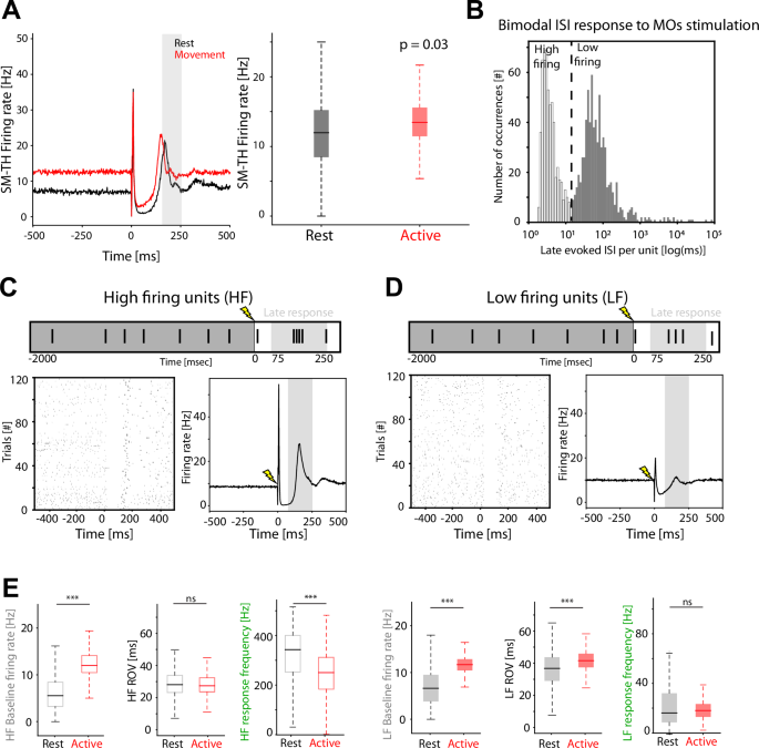 Fig. 3: Behavioral-state-dependent modulation of rebound thalamic units’ synchronization evoked by MOs electrical stimulation underlies the modulation of the late EP component in mice.