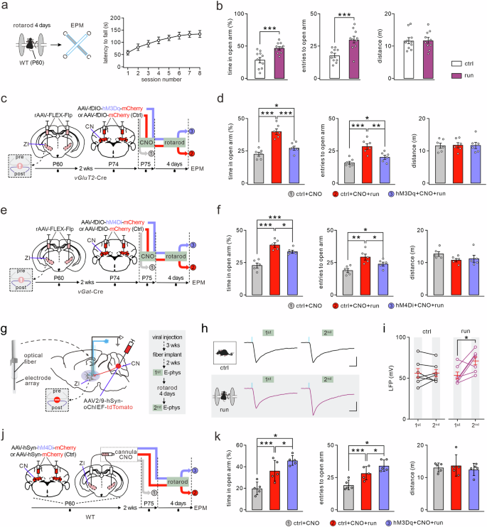 Fig. 7: CN → ZI circuits regulate rotarod running-induced anxiolytic effect.