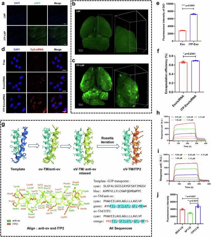 Fig. 7: Allosteric targeting as a platform for drug delivery.