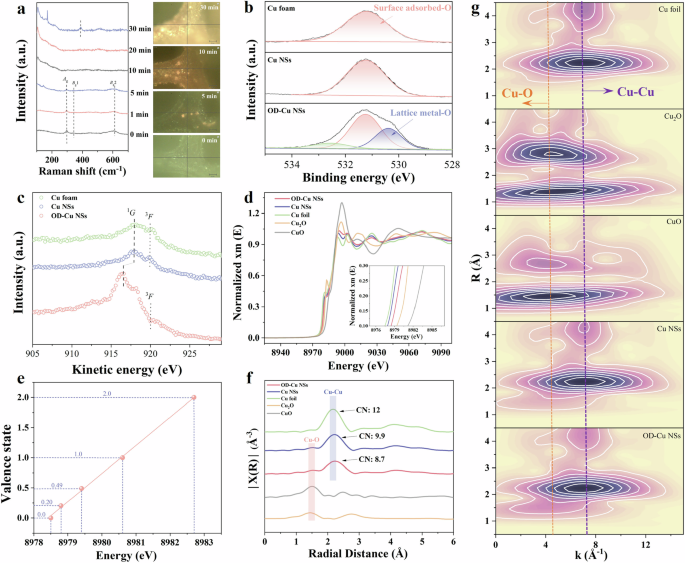 Fig. 2: Structural characterization.