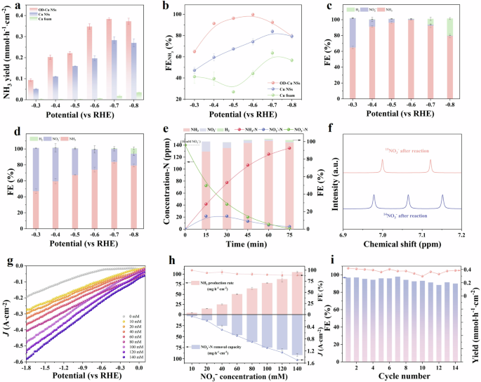 Fig. 3: Performance for eNO3RR.