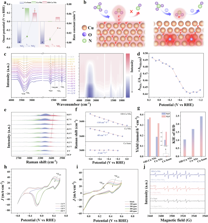 Fig. 4: Mechanism analysis for *NO2 conversion and *H generation.
