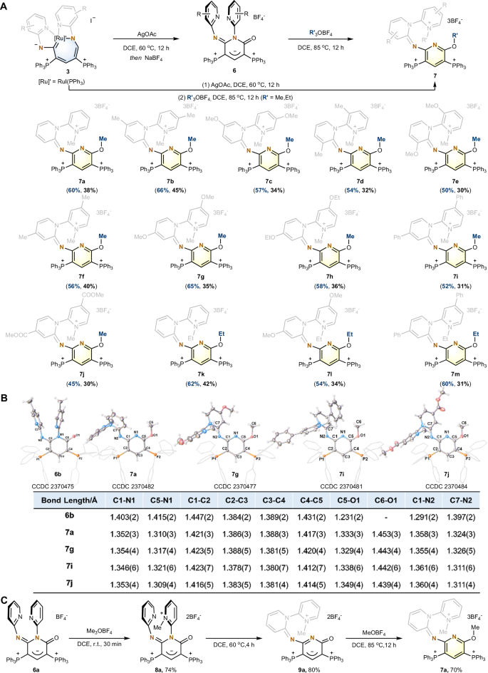 Fig. 4: Synthesis and characterization of 7a-7m.