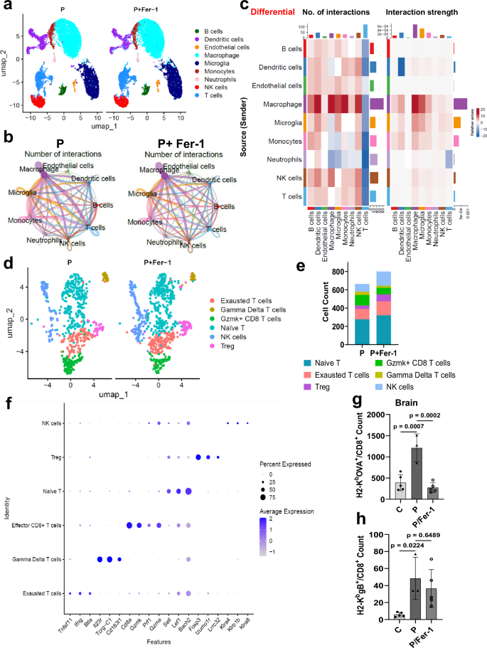 Fig. 8: Impact of Ferroptosis on tumor immune environment after virotherapy.