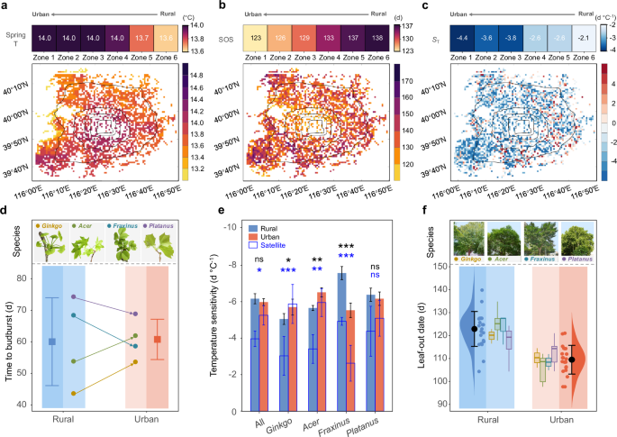 Fig. 3: Experimental evidence for the effects of urbanization on spring phenology.